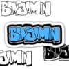 BENJAMIN Graffiti Name